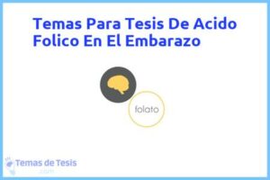 Tesis de Acido Folico En El Embarazo: Ejemplos y temas TFG TFM