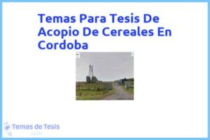 Tesis de Acopio De Cereales En Cordoba: Ejemplos y temas TFG TFM