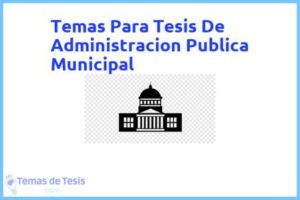 Tesis de Administracion Publica Municipal: Ejemplos y temas TFG TFM