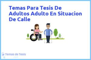 Tesis de Adultos Adulto En Situacion De Calle: Ejemplos y temas TFG TFM