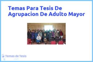 Tesis de Agrupacion De Adulto Mayor: Ejemplos y temas TFG TFM