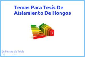 Tesis de Aislamiento De Hongos: Ejemplos y temas TFG TFM