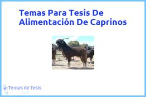 Tesis de Alimentación De Caprinos: Ejemplos y temas TFG TFM