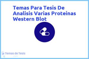 Tesis de Analisis Varias Proteinas Western Blot: Ejemplos y temas TFG TFM