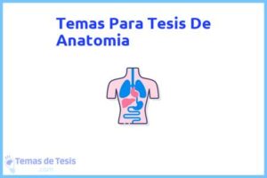 Tesis de Anatomia: Ejemplos y temas TFG TFM