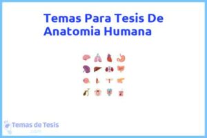 Tesis de Anatomia Humana: Ejemplos y temas TFG TFM