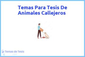 Tesis de Animales Callejeros: Ejemplos y temas TFG TFM