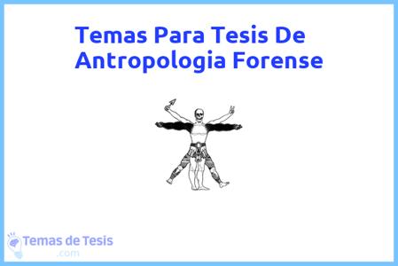 Tesis de Antropologia Forense: Ejemplos y temas TFG TFM
