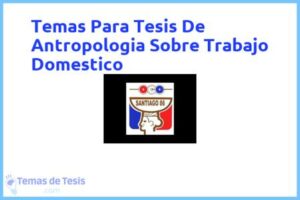 Tesis de Antropologia Sobre Trabajo Domestico: Ejemplos y temas TFG TFM