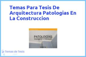 Tesis de Arquitectura Patologias En La Construccion: Ejemplos y temas TFG TFM