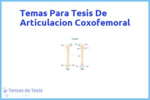 Tesis de Articulacion Coxofemoral: Ejemplos y temas TFG TFM