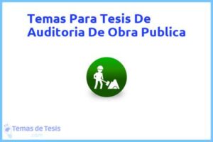 Tesis de Auditoria De Obra Publica: Ejemplos y temas TFG TFM