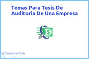 Tesis de Auditoria De Una Empresa: Ejemplos y temas TFG TFM