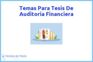 Tesis de Auditoria Financiera: Ejemplos y temas TFG TFM