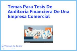 Tesis de Auditoria Financiera De Una Empresa Comercial: Ejemplos y temas TFG TFM