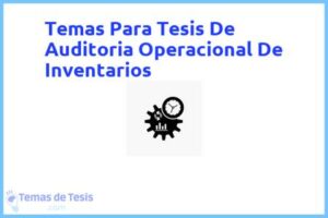 Tesis de Auditoria Operacional De Inventarios: Ejemplos y temas TFG TFM