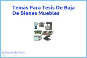 Tesis de Baja De Bienes Muebles: Ejemplos y temas TFG TFM