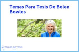 Tesis de Belen Bowles: Ejemplos y temas TFG TFM