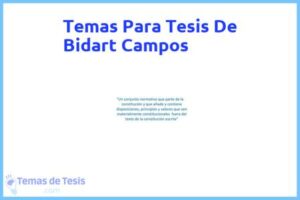Tesis de Bidart Campos: Ejemplos y temas TFG TFM