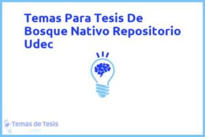 Tesis de Bosque Nativo Repositorio Udec: Ejemplos y temas TFG TFM