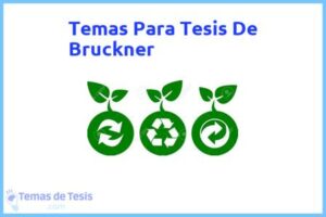 Tesis de Bruckner: Ejemplos y temas TFG TFM