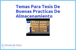 Tesis de Buenas Practicas De Almacenamiento: Ejemplos y temas TFG TFM