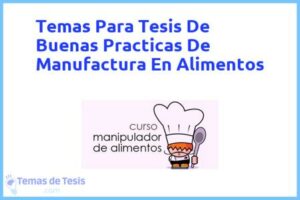 Tesis de Buenas Practicas De Manufactura En Alimentos: Ejemplos y temas TFG TFM