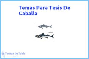Tesis de Caballa: Ejemplos y temas TFG TFM