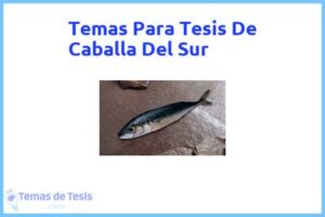 Tesis de Caballa Del Sur: Ejemplos y temas TFG TFM
