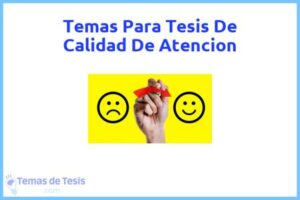 Tesis de Calidad De Atencion: Ejemplos y temas TFG TFM