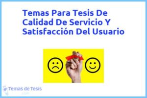 Tesis de Calidad De Servicio Y Satisfacción Del Usuario: Ejemplos y temas TFG TFM