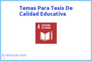 Tesis de Calidad Educativa: Ejemplos y temas TFG TFM