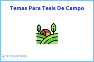 Tesis de Campo: Ejemplos y temas TFG TFM