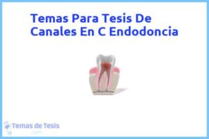 Tesis de Canales En C Endodoncia: Ejemplos y temas TFG TFM