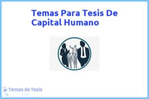 Tesis de Capital Humano: Ejemplos y temas TFG TFM