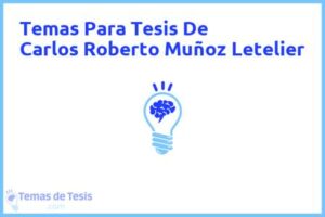 Tesis de Carlos Roberto Muñoz Letelier: Ejemplos y temas TFG TFM