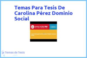 Tesis de Carolina Pérez Dominio Social: Ejemplos y temas TFG TFM