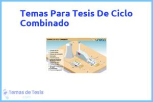 Tesis de Ciclo Combinado: Ejemplos y temas TFG TFM