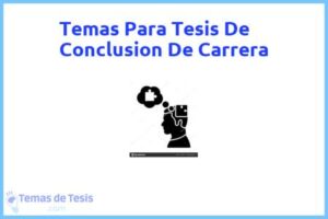 Tesis de Conclusion De Carrera: Ejemplos y temas TFG TFM