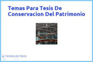 Tesis de Conservacion Del Patrimonio: Ejemplos y temas TFG TFM