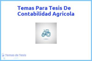Tesis de Contabilidad Agricola: Ejemplos y temas TFG TFM