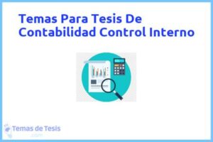 Tesis de Contabilidad Control Interno: Ejemplos y temas TFG TFM