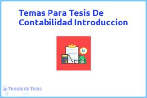 Tesis de Contabilidad Introduccion: Ejemplos y temas TFG TFM