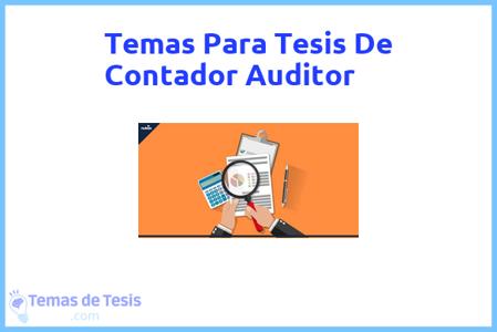 Tesis de Contador Auditor: Ejemplos y temas TFG TFM
