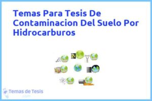 Tesis de Contaminacion Del Suelo Por Hidrocarburos: Ejemplos y temas TFG TFM