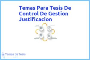 Tesis de Control De Gestion Justificacion: Ejemplos y temas TFG TFM