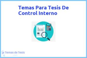 Tesis de Control Interno: Ejemplos y temas TFG TFM