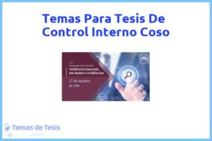 Tesis de Control Interno Coso: Ejemplos y temas TFG TFM