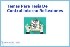 Tesis de Control Interno Reflexiones: Ejemplos y temas TFG TFM