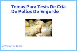 Tesis de Cria De Pollos De Engorde: Ejemplos y temas TFG TFM